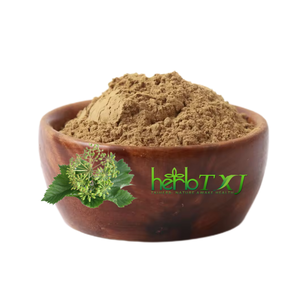 Angelica Sinensisエキス粉末多糖アンジェリカ根エキス粉末 - Product Image 1