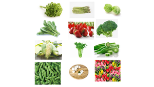 Refroidisseur sous vide à palette unique entièrement automatique pour légumes avec moteur et pompe comme composants de base - Product Image 3