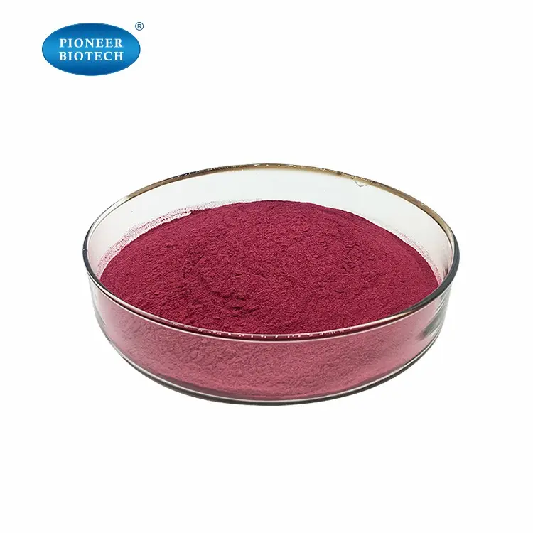 Acai Berry Seeds Extract Powder /Acai Berry Seeds /Acai Berry Powder