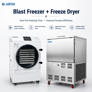 Machine de lyophilisation domestique HFD-25 avec <span class=keywords><strong>pompe</strong></span> à vide intégrée, 30 <span class=keywords><strong>kg</strong></span>/lot, 2,5 m², <span class=keywords><strong>7</strong></span> plateaux, pour crème glacée, bonbons, viande, légumes, aliments, fruits - Product Image 5