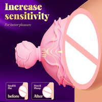 Masseur mammaire Rose, puissant stimulateur de mamelons, machine sans fil à vibrations rotatives pour femmes, jouets sexuels pour adultes