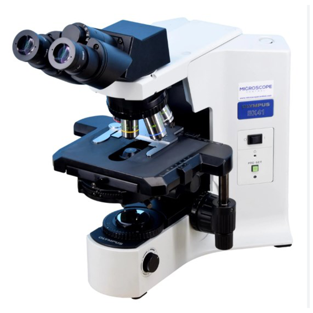 Olympus BX41 Biological Laboratory Olympus Binocular Microscope 107bn Microscope