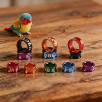 Bague d'identification pour oiseaux, plaquée, fermée, pour perroquets, fournitures pour éleveurs d'oiseaux en volière