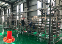 Ligne de traitement automatique de la pâte de tomate, ligne de production de sauce ketchup, ligne d'extraction de jus et d'assaisonnement pour usage commercial