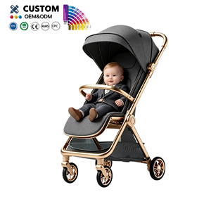 Cochecitos <span class=keywords><strong>de</strong></span> Bebé Clásicos al por Mayor, Cochecito 2 en 1 Económico, Cochecito <span class=keywords><strong>de</strong></span> Bebé Tamaño Cabina - Product Image 3