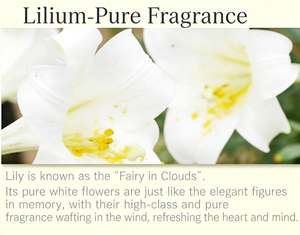 Perfume para el Cabello con Aroma a Rosas, Encuentro Romántico, Personalizado OEM, Eau de Parfum, Ecológico, Lujoso y de Larga Duración - Product Image 4