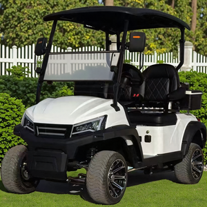 Carrito de Golf Eléctrico de 2 Plazas, 48V150Ah, 3.5KW, Carrito de Caza, Buggy de Golf, con Certificación CE para Carreteras No Públicas - Product Image 2