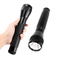 Lampe torche économique 1 LED au krypton - Lampe de poche étanche en aluminium pour les aventures en plein air, excellente valeur, fonctionne avec des piles sèches