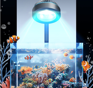 Riff <span class=keywords><strong>Aquarium</strong></span> LED-verlichting met volledig spectrum & timer voor koraal LPS/SPS, <span class=keywords><strong>aquarium</strong></span> clip-on lamp met lens, 5.2W zoutwaterverlichting - Product Image 6