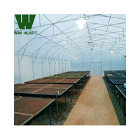 Rumah Kaca Terlaris dari Baja Galvanis 8x30m dengan Atap PC Model Kupu-kupu dan Ventilasi, Dilengkapi Tirai Penahan Panas 55%