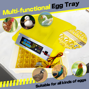 Điện Kép <span class=keywords><strong>Hatchery</strong></span> Lồng Ấp Yếu Tố Làm Nóng Tự Động Gà 48 Trứng Chuyển Hệ Thống Từ Trung Quốc - Product Image 6