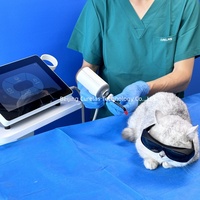 Équipement de thérapie laser à diode à haute pénétration pour la réparation des dommages des tissus mous et le traitement de la boîteuse chez les animaux