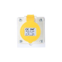 Prise murale industrielle AC110V 2P+PE 4H 16A avec certificat UKCA, prise industrielle femelle fixe ZNG-113-4