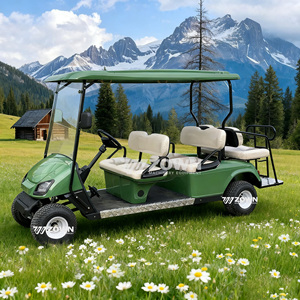 Voiturette de golf électrique ZOWN 2 places, sièges confortables, pneus de luxe durables, haute qualité, garantie 2 ans pour les attractions touristiques - Product Image 1