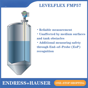 OEM OBM Endress + Hauser FMP51 مقياس مستوى دخل موجة موجهة عالي الدقة يستخدم عادة في التحكم في العمليات الصناعية - Product Image 4