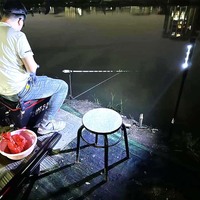 Canne de randonnée solaire LED haute luminosité, étanche, avec éclairage de sécurité nocturne multifonctionnel pour l'extérieur