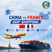 Servicios de Logística de Transporte de Mercancías de Amazon FBA Francia, Envío de China a Francia, Transporte Marítimo, Transportista Marítimo, China Francia