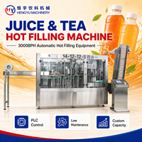 Ligne de production complète OEM de machines de remplissage pour boissons gazeuses, jus et sodas en bouteilles en verre pour usine de fabrication de boissons