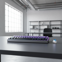 ODM OEM Gaming Mechanical Keyboard 68-Key USB Wired RGB Backlit Hot-Swap Side Engraved Keycap English Color Stock Wholesale