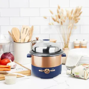 Cucina multiuso multifunzione piccolo fornello di riso portatile 500W 1.5L elettrico One-Touch