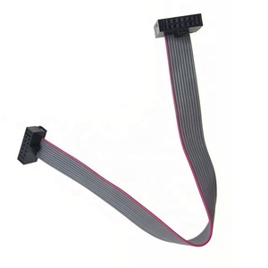 Cabo Flat Interno de 160MM com Conector IDC de 10 Pinos, Passo de 1.27mm, Dupla Fileira (2x5 Pinos), 20 Pinos, para Veículos Aéreos Não Tripulados - Product Image 3