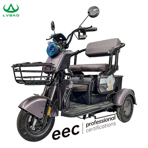 Tricycle électrique intelligent LB-XXX5 Mini 2024, tricycles électriques à propulsion électrique, tricycles électriques Tseeing pour usage commercial - Product Image 1