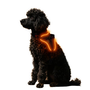 USB-C semplice imbracatura in fibra di cane in poliestere Pet con motivo animale di Halloween - Product Image 6