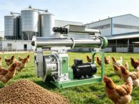 Máquina de Pellets para Alimentación Animal de Alta Eficiencia, Automática, de 12-15 Toneladas, con Certificado CE, para Alimento de Pollo y Ganado