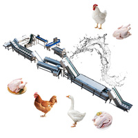 Usine d'abattage de poulets, machine d'abattage automatique de poulets
