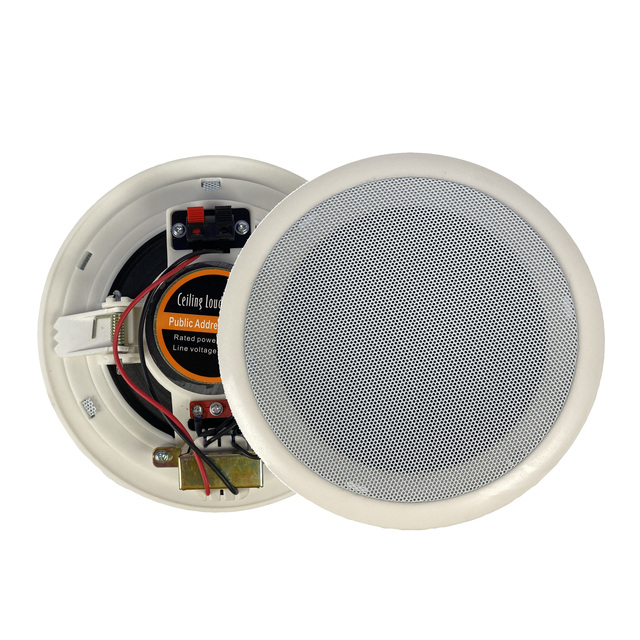 Professional Public Address System Active PP 100 Voltline Home Theatre Ceiling Speaker