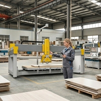 Machine de découpe de pierre CNC 5 axes avancée avec mesure automatique, alignement par caméra et système de fabrication intelligent