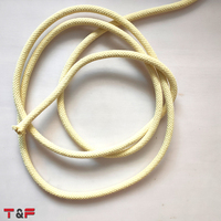 Corde en fibre d'aramide tressée ignifuge à haute résistance à la déchirure