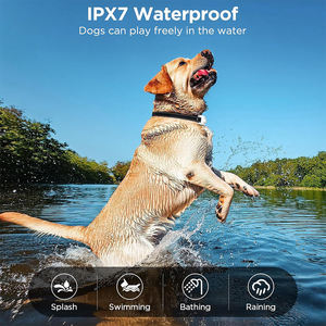 Hunde-Antibell-Halsband aus Kunststoff, Wasserdicht IPX7, Wiederaufladbare Batterie - Vollständig Anpassbare Dienstleistungen für Haustierzubehör - Product Image 6