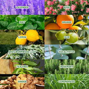 ขวดแก้วสำหรับน้ำมันหอมระเหย เทียนหอม ราคาขายส่ง กลิ่นผลไม้เดวเบอร์รี่ กลิ่นพืช กลิ่นหอมตามสั่ง สำหรับทำน้ำหอมและอโรมาเธอราพี - Product Image 5