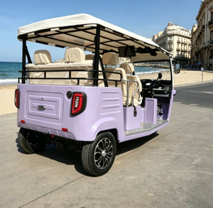 รถสามล้อไฟฟ้า 6 ที่นั่งสุดหรู ได้รับการรับรองมาตรฐาน EEC COC สำหรับการขนส่งวีไอพีในเมือง - Product Image 5