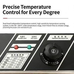 業務用電気フライヤー 2500w 10L ステンレス製 業務用フライヤー 家庭用キッチン レストラン用 - Product Image 4