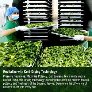 ชาชงสมุนไพรสูตรเฉพาะของไชน่าเฮิร์บ รสชาติกลมกล่อม บรรจุภัณฑ์แบบแพ็คใหญ่ ชาเพื่อสุขภาพและพลังงานจากธรรมชาติ - Product Image 4