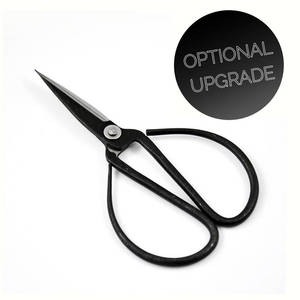 Kit <span class=keywords><strong>de</strong></span> culture d'arbre bonsaï d'<span class=keywords><strong>orme</strong></span> chinois Pot cadeaux <span class=keywords><strong>de</strong></span> jardinage uniques ensemble d'outils ensemble d'espèces kit <span class=keywords><strong>de</strong></span> démarrage <span class=keywords><strong>de</strong></span> bonsaï - Product Image 4