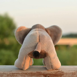 Peluche <span class=keywords><strong>de</strong></span> Elefante <span class=keywords><strong>de</strong></span> Diseño Personalizado, Juguete <span class=keywords><strong>de</strong></span> Peluche <span class=keywords><strong>de</strong></span> Primera Calidad, Animal <span class=keywords><strong>de</strong></span> Zoológico, Certificado ASTM y CPC, Seguro para Bebés y Niños - Product Image 2