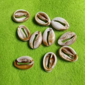 Venta al por mayor de cuentas de acrílico de 18 mm con forma de concha marina para pulseras, joyería bohemia, manualidades, decoración de fundas de teléfono, dijes de verano - Product Image 6