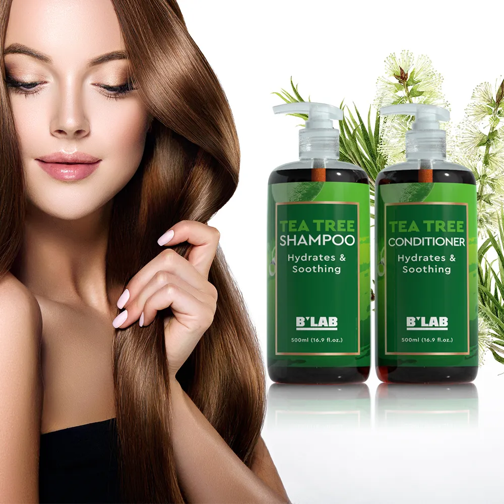 Private Label Hair Care for Organic Tea Tree Oil Shampoo rinfrescante antiolio forfora Tea Tree Shampoo e balsamo