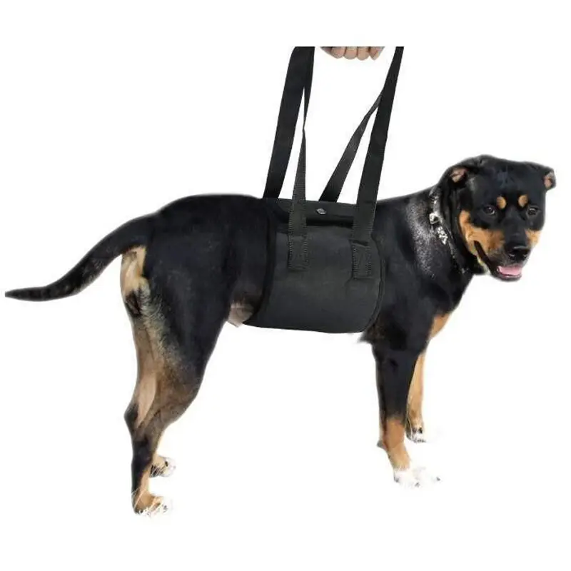 Imbracatura per cani portatile Amazon co uk regolabile facile anteriore posteriore mobilità supporto per torace per animali domestici imbracatura per cani di grossa taglia per aiuti canini