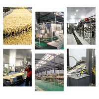 Tca Volautomatische Zoete Verse Frietjes Friet Productielijn Aardappelchips Machine