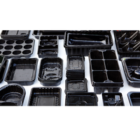 Machine de thermoformage plastique entièrement automatique sous vide pour la production de plaques, gobelets, bols, barquettes à œufs et barquettes de semis en plastique