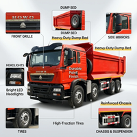 Camion benne SINOTRUK HOWO 6x4 prêt à être expédié pour le Congo (Afrique), benne renforcée de 30 tonnes pour la construction sur routes accidentées