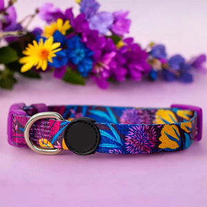 Collier pour chien à prix avantageux, gamme de prix abordable, fabricant en gros, collier pour chien durable et élégant, accessoire pour animaux de compagnie réglable - Product Image 2