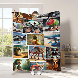 ผ้าห่มลายการ์ตูนตลกๆ ของขวัญสุดฮาสำหรับเด็กและทารก ขายส่งจากโรงงาน - Product Image 5