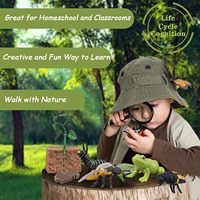 Juguetes Educativos para el Aprendizaje del Ciclo de Vida, Juguetes Montessori, Figuras de Rana, Mariposa, Mariquita, Kit de Plantas, Regalo para Niña y Niño