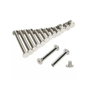 Customised Iron carbon steel or stainless steel screw recipe album sample book nail Sex bolt Chicago Screw