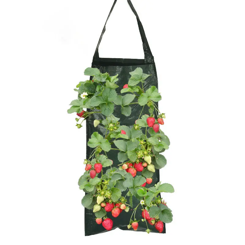 QXL3100 sac de jardinière feutre pépinière jardin PE fruits légumes Pot de plante grandir feutre sac de culture pour sacs de culture de fraises